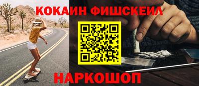 гашик Камышлов