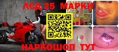 бошки Кингисепп