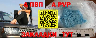 бошки Кингисепп