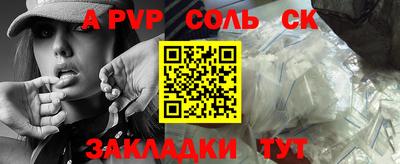 бошки Кингисепп