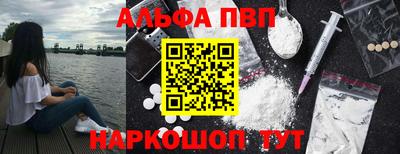 бошки Кингисепп